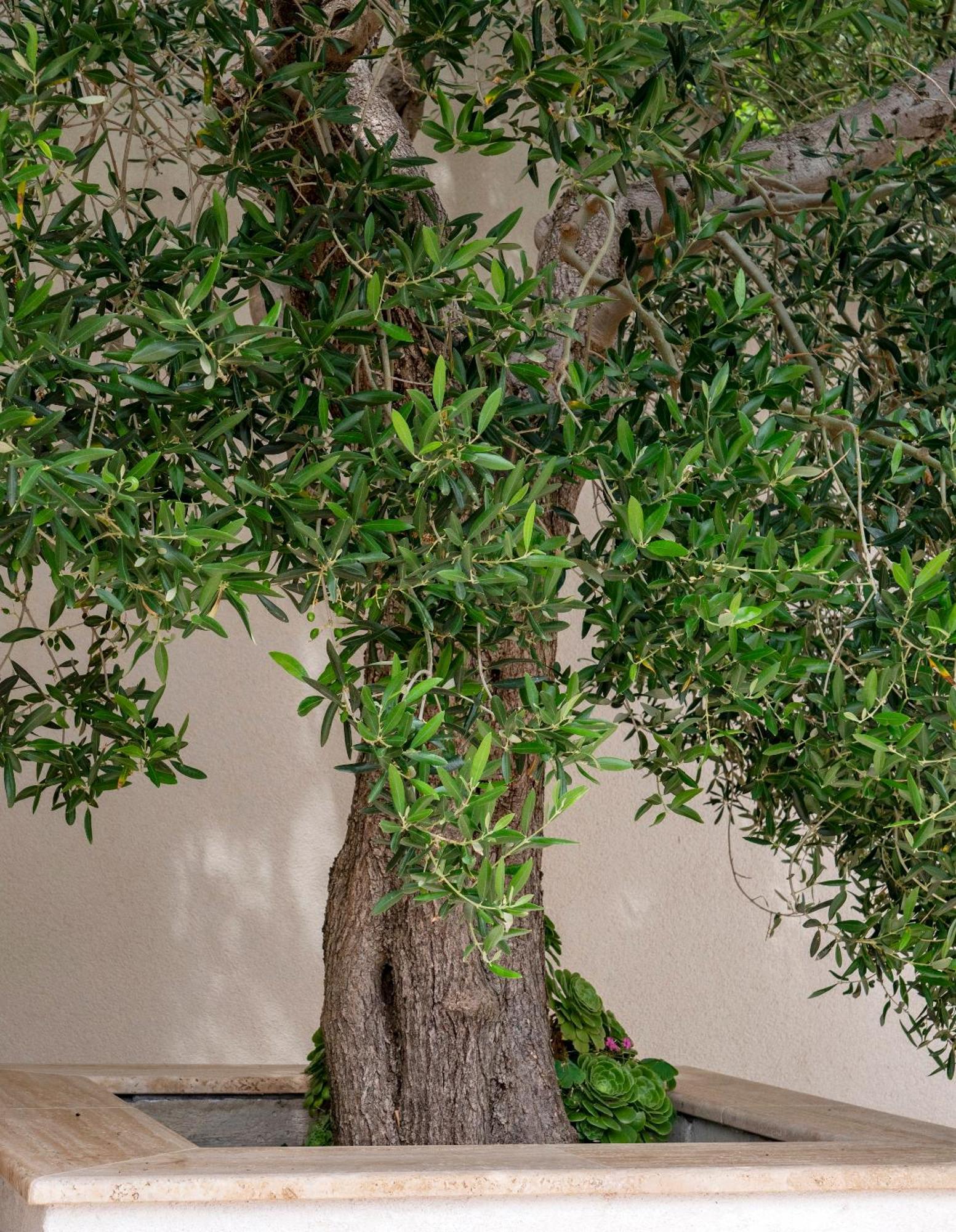 Апартаменты Haus Helga Раб Экстерьер фото